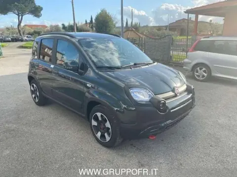 Used FIAT PANDA Hybrid 2024 Ad 