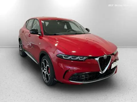 Annonce ALFA ROMEO TONALE Diesel 2023 d'occasion 