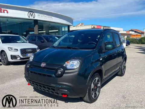 Annonce FIAT PANDA Hybride 2024 d'occasion 