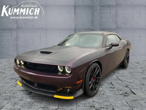 Annonce DODGE CHALLENGER Essence 2024 d'occasion 