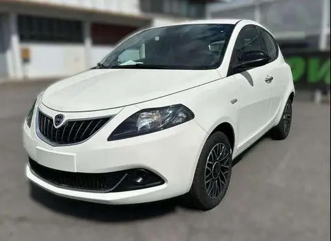 Used LANCIA YPSILON LPG 2024 Ad 