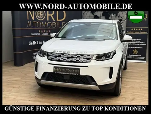 Used LAND ROVER DISCOVERY Hybrid 2021 Ad 