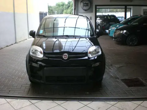 Annonce FIAT PANDA Hybride 2024 d'occasion 