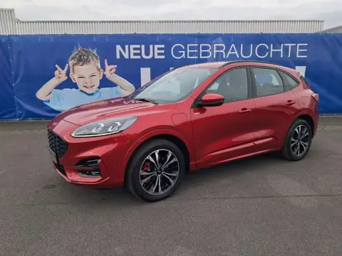 Annonce FORD KUGA Hybride 2021 d'occasion 