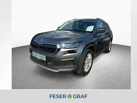 Used SKODA KODIAQ Diesel 2023 Ad 