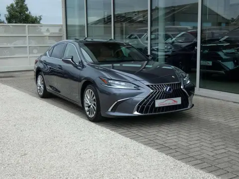 Annonce LEXUS ES Hybride 2022 d'occasion 