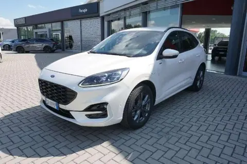 Used FORD KUGA Hybrid 2020 Ad 