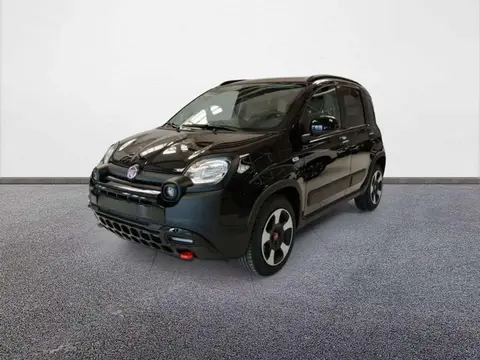 Used FIAT PANDA Hybrid 2024 Ad 