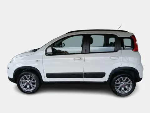 Annonce FIAT PANDA Diesel 2017 d'occasion 