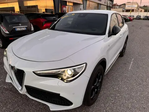 Used ALFA ROMEO STELVIO Petrol 2022 Ad 