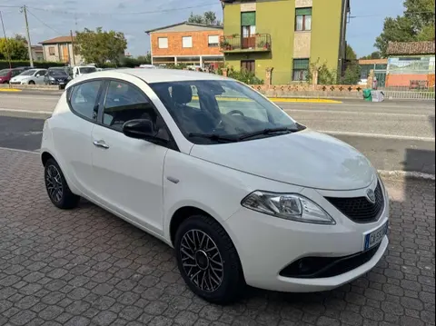 Used LANCIA YPSILON LPG 2019 Ad 