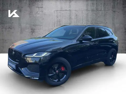 Used JAGUAR F-PACE Hybrid 2021 Ad 