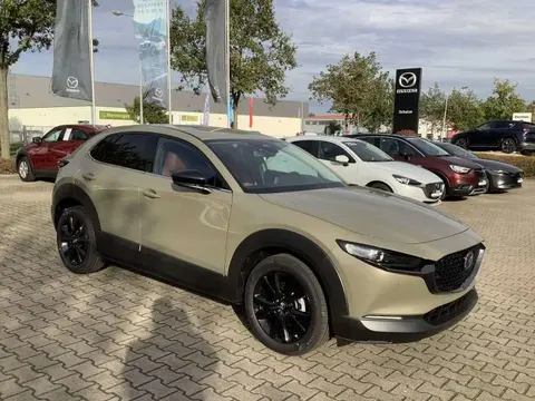 Annonce MAZDA CX-30 Hybride 2024 d'occasion 