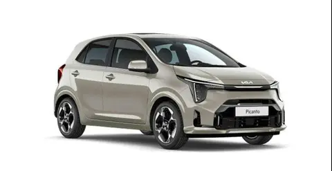 Annonce KIA PICANTO GPL 2024 d'occasion 