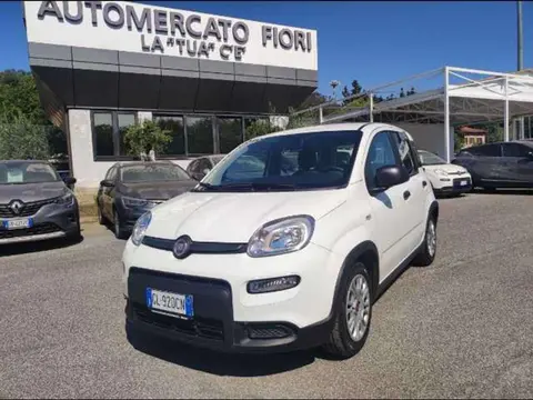 Annonce FIAT PANDA Hybride 2022 d'occasion 