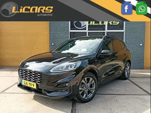 Annonce FORD KUGA Essence 2021 d'occasion 