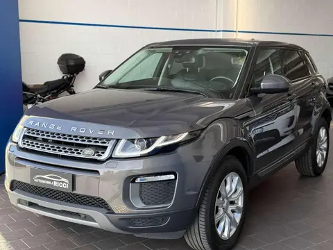 Annonce LAND ROVER RANGE ROVER EVOQUE Diesel 2017 d'occasion 