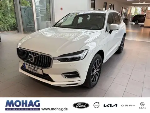 Used VOLVO XC60 Hybrid 2021 Ad 