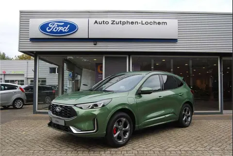 Annonce FORD KUGA Hybride 2024 d'occasion 