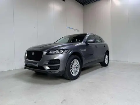 Used JAGUAR F-PACE Petrol 2018 Ad 