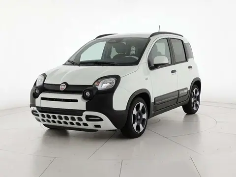 Annonce FIAT PANDA Hybride 2024 d'occasion 