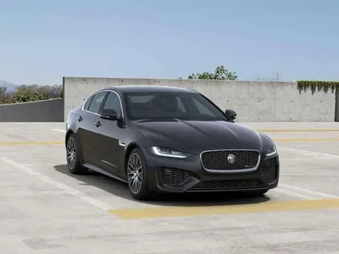 Used JAGUAR XE Hybrid 2024 Ad 