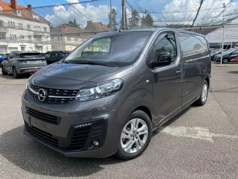 Annonce OPEL VIVARO Diesel 2024 d'occasion 