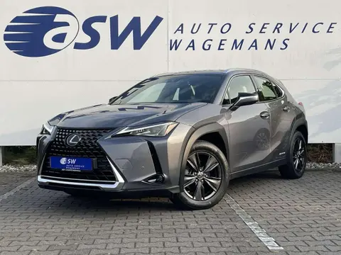 Used LEXUS UX Hybrid 2019 Ad 