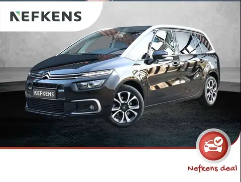 Annonce CITROEN C4 Essence 2019 d'occasion 