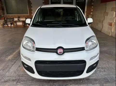 Annonce FIAT PANDA Diesel 2016 d'occasion 