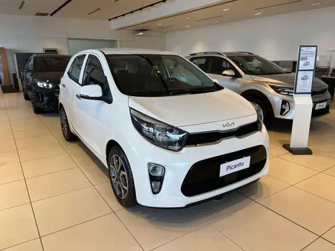 Used KIA PICANTO Petrol 2023 Ad 