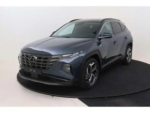 Used HYUNDAI TUCSON Hybrid 2024 Ad 