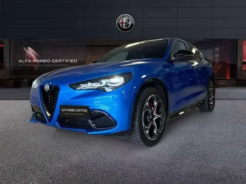 Used ALFA ROMEO STELVIO Diesel 2023 Ad 