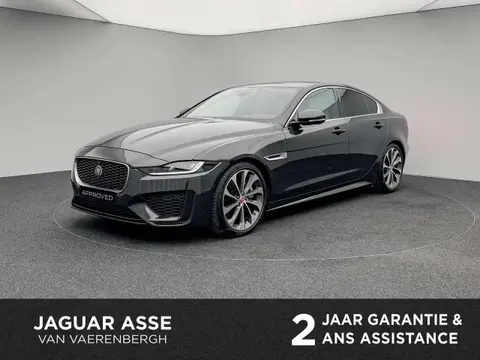 Annonce JAGUAR XE Diesel 2022 d'occasion 