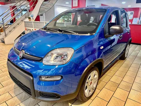 Annonce FIAT PANDA Hybride 2024 d'occasion 