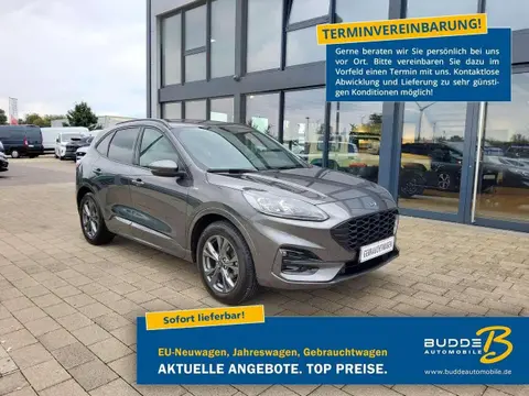 Annonce FORD KUGA Diesel 2020 d'occasion 