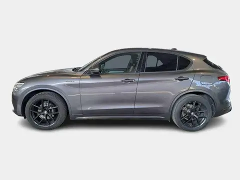 Annonce ALFA ROMEO STELVIO Diesel 2020 d'occasion 