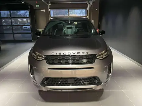 Annonce LAND ROVER DISCOVERY Diesel 2022 d'occasion 