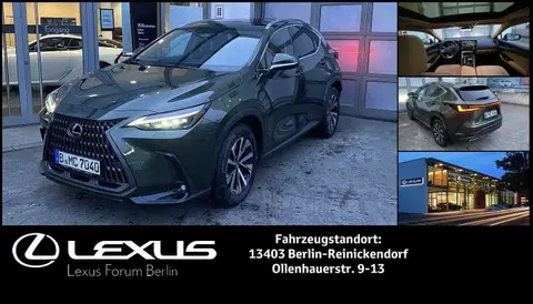 Used LEXUS NX Hybrid 2023 Ad 