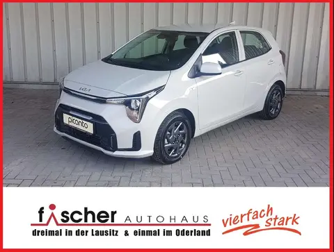 Used KIA PICANTO Petrol 2024 Ad 