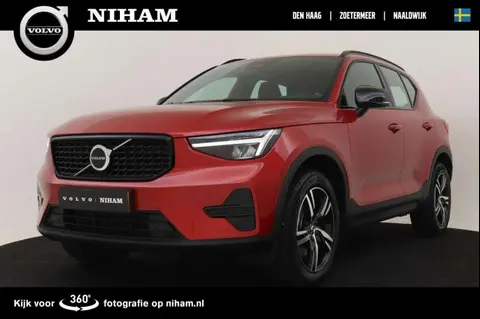 Used VOLVO XC40 Hybrid 2024 Ad 