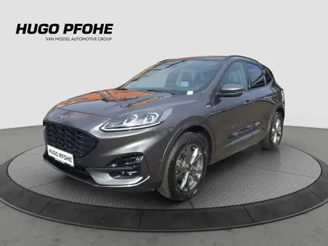 Used FORD KUGA Petrol 2021 Ad 