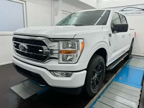 Annonce FORD F150 Essence 2021 d'occasion 