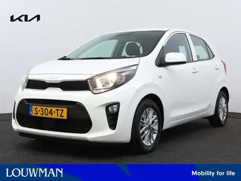 Used KIA PICANTO Petrol 2023 Ad 