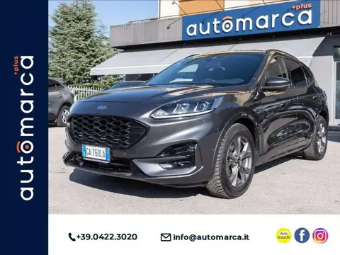 Annonce FORD KUGA Hybride 2020 d'occasion 