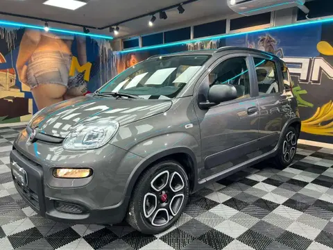 Used FIAT PANDA Hybrid 2022 Ad 