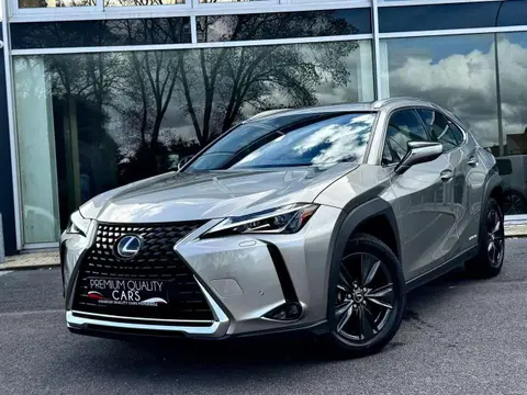 Used LEXUS UX Petrol 2021 Ad 