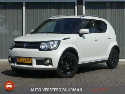 Annonce SUZUKI IGNIS Essence 2019 d'occasion 