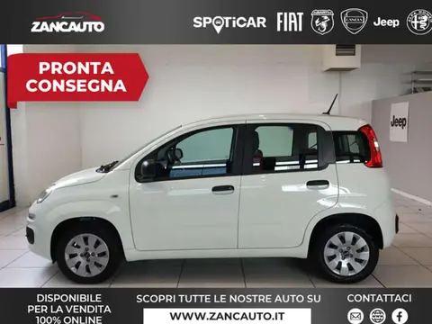 Annonce FIAT PANDA Essence 2020 d'occasion 