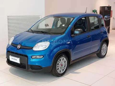 Used FIAT PANDA Hybrid 2024 Ad 